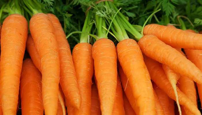 Carrot In Winter: सर्दियों में क्यों खाना चाहिए गाजर? जानिए इसके जबरदस्त फायदे