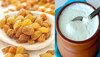 Dahi-Kishmis Benefits: फिट रहने के लिए रोज इस समय करें दही-किशमिश का सेवन, शिल्पा जैसी पाएंगे फिगर