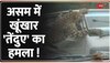 असम के जोरहाट में खूंखार 'तेंदुए' ने किया चलती गाड़ी पर हमला, कई लोग घायल