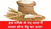 Wheat flour price: नए साल में आटे की महंगाई से मिलेगी राहत! कृषि मंत्रालय ने किया ऐसा काम, गेहूं का होगा रिकॉर्ड उत्पादन