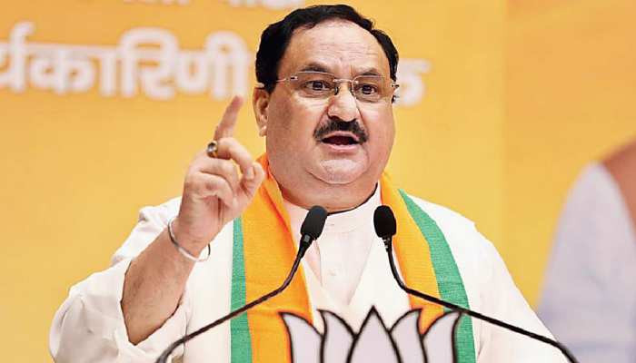 who will be next president of bjp party will decide in meeting jp nadda  dharmendra pradhan bhupender yadav | जेपी नड्डा नहीं तो कौन? बीजेपी किसे  सौंपेगी पार्टी की कमान, अध्यक्ष बनने