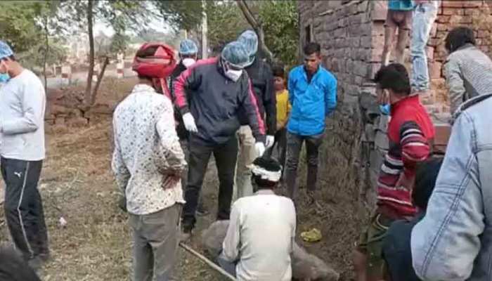 कोरोना के खतरे के बीच इस जिले में अफ्रीकन स्वाइन फ्लू से मचा हड़कंप, मारे गए 700सूअर