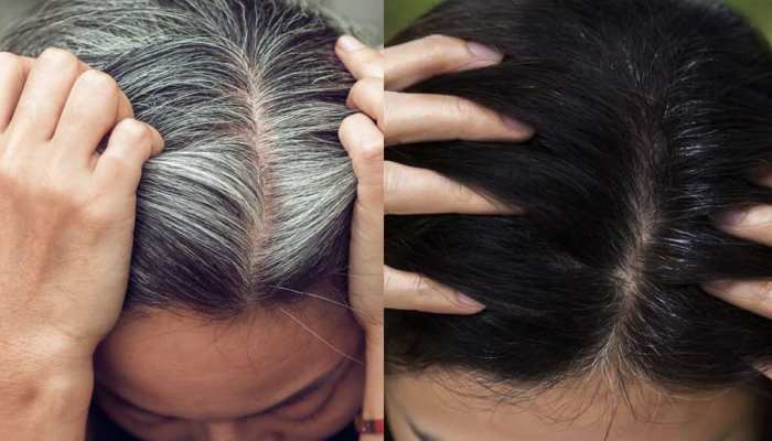 Tea Leaves And Mehandi for Premature White Hair Safed baal kaise kare kale Chai ki Patti Boiling | White Hair: सफेद बालों पर कभी न लगाएं केमिकल वाले हेयर कलर, इस नेचुरल Tea Leaves And Mehandi for Premature White Hair Safed baal kaise kare kale Chai ki Patti Boiling | White Hair: सफेद बालों पर कभी न लगाएं केमिकल वाले हेयर कलर, इस नेचुरल