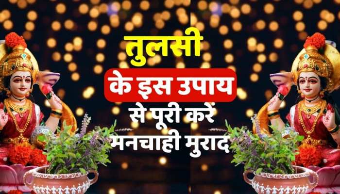 Vastu tips : तुलसी के इस उपाय से पूरी होगी मनचाही इच्छा