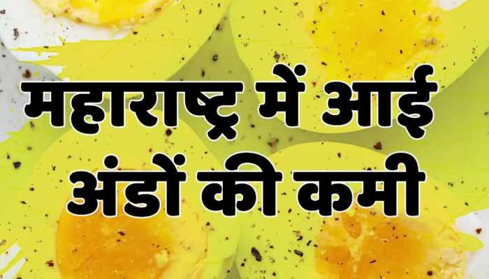 Animal Husbandry Department की ताज़ा खबरे हिन्दी में | ब्रेकिंग और लेटेस्ट न्यूज़ in Hindi - Zee News Hindi Animal Husbandry Department की ताज़ा खबरे हिन्दी में | ब्रेकिंग और लेटेस्ट न्यूज़ in Hindi - Zee News Hindi