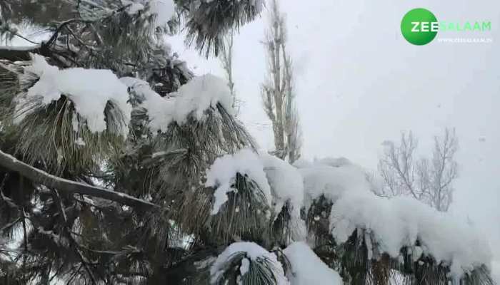 Beautiful Snowfall View: यूं ही नहीं कश्मीर को कहा जाता है 'जन्नत', गुलमर्ग की बर्फबारी देख मोहित हो जाएंगे आप! 