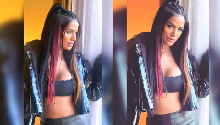 Poonam Pandey video रंग बिरंगे बालों में पूनम पांडे ने हॉट स्टाइल में दिए बोल्ड पोज