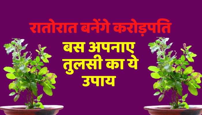 Vastu tips : अपनाए तुलसी का ये उपाय पूरी होगी मनचाही मुराद 