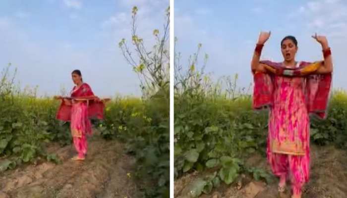 Sapna Choudhary Dance: सपना चौधरी ने सरसों के खेत में मचाया अपने डांस से गदर, लटके-झटके देख उड़े होश