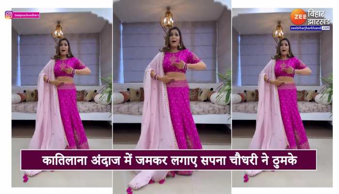 गुलाबी लहंगे में सपना चौधरी ने मस्ती से लगाए ठुमके, दिख गया 'हिडन टैटू'