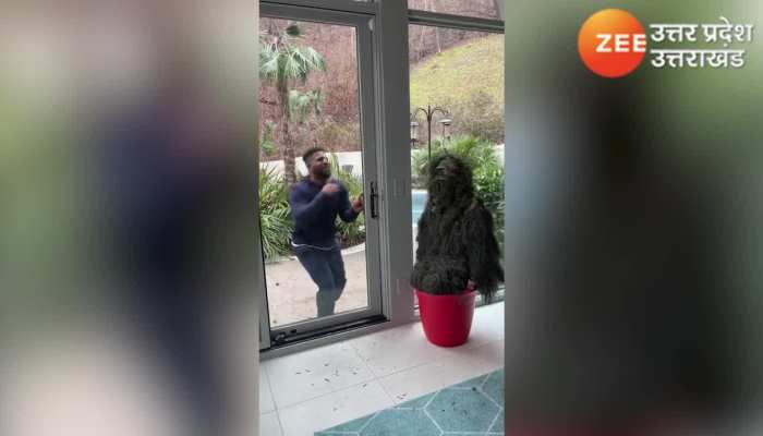 भालू ने याद दिला दी नानी, वायरल हो रहा VIDEO