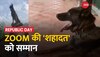 Republic Day 2023: कौन है Zoom Dog? जिसके जबड़े में था दुश्मन का 'काल'