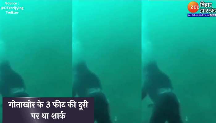 Viral Video : आज तक नहीं देखा होगा ऐसा खौफनाक वीडियो, देखकर कांप जाएगी रूह