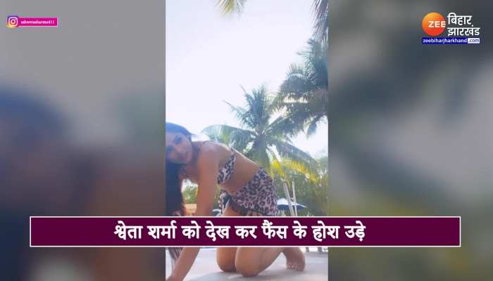 Shweta Sharma Bold Video : श्वेता शर्मा ने किया सबको शर्मसार, वीडियो देखकर फैंस के उड़े होश