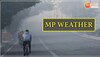 MP Weather News