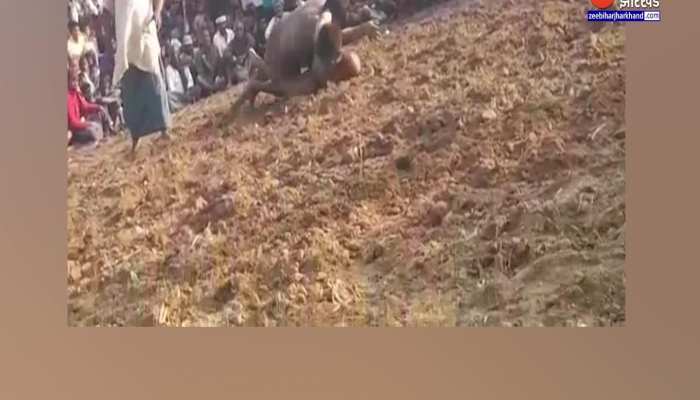 बिहार में कुश्ती दंगल के दौरान पहलवान की 'दर्दनाक' मौत, वायरल हो रही वीडियो