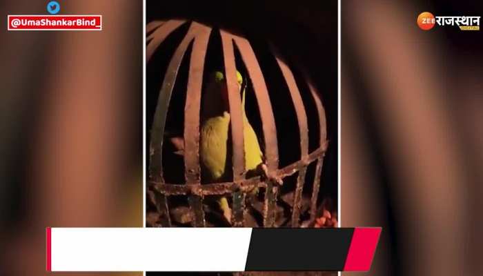 Viral Video : शराब माफिया हुआ फरार, तो तोते से पूछताछ करने लगी पुलिस, जवाब सुन हंसी आ जाएगी