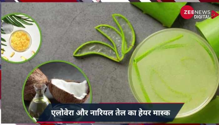 बालों में लगाए इस तरह एलोवेरा, Urfi Javed की तरह हो जाएंगे लंबे और घने बाल