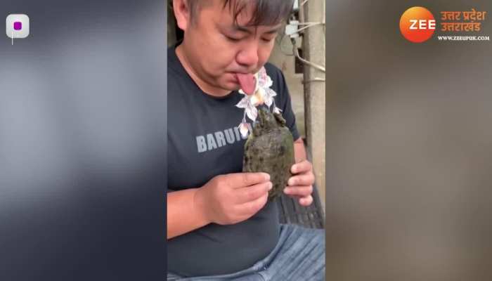 शख्स ले रहा था कछुए से पंगा, देखो किसने किसको उल्लू बनाया