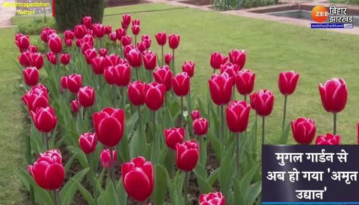 Mughal Gardens New Name : मुगल गार्डन बना 'अमृत उद्यान'