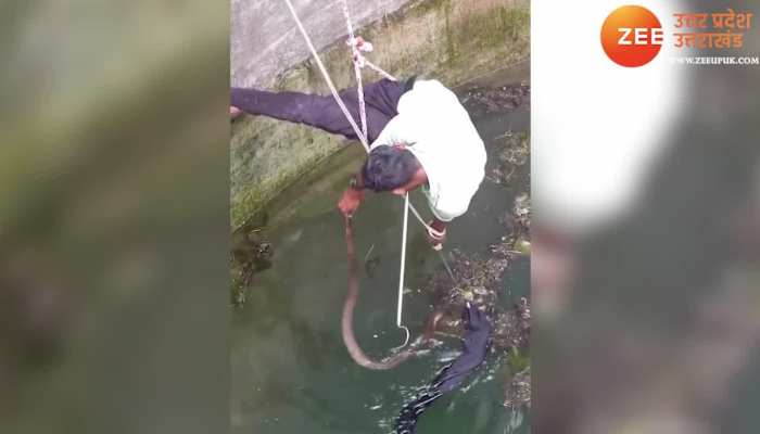 सांप को पकड़ने की जंग में जान पर खेल बैठा युवक देखें VIDEO