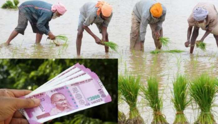 बजट से अन्नदाताओं के खिलेंगे चेहरे, किसान सम्मान निधि की राशि में होगा इजाफा? 