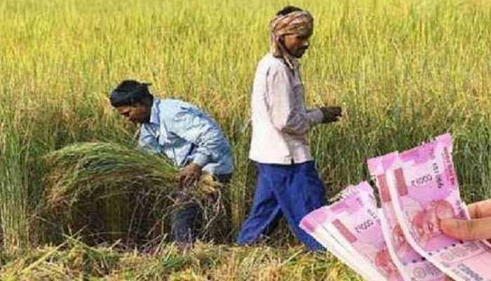 13वीं किस्त का उठाना है लाभ तो किसान करवा लें ये काम, फरवरी में जानें कब आएगी किस्त