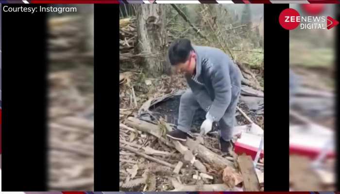 Viral Video: कुल्हाड़ी से पेड़ काट रहा था शख्स अचानक जेब से गिरा फोन तो उसी पर मारी चोट, वीडियो देख आप भी हैरान रह जाएंगे 