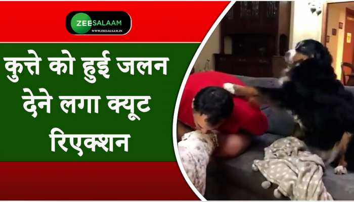 Video: शख्स ने कुत्ते को चूमा, दूसरा जलन की वजह से देने लगा क्यूट रिएक्शन