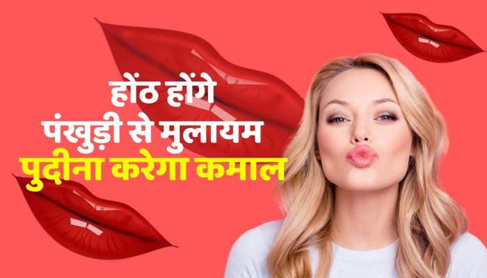 Beauty tips : सर्दियों में फटे होंठ होंगे मखमल से मुलायम , पुदीना दिखाएगा जादू , ऐसें बनाए लिप बाम