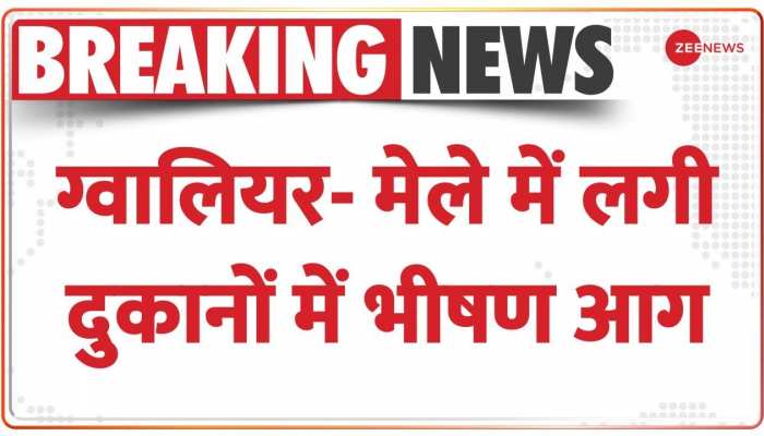 मेले में लगी 12 दुकानों में भीषण आग, दमकल की कई गाड़ियां मौके पर मौजूद