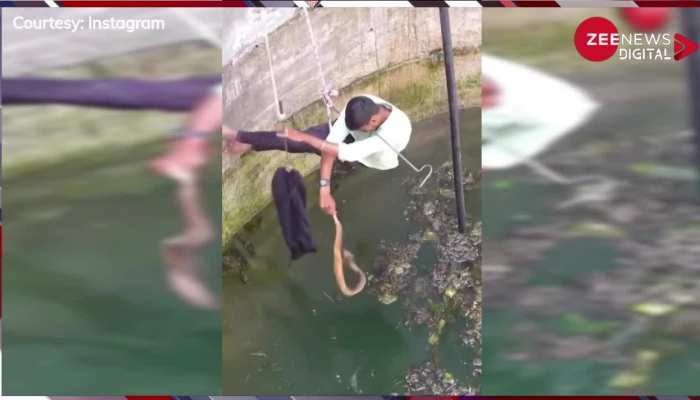 Viral Video: सांप को बचाने के लिए कुएं में कूदा शख्स, काफी मशक्त के बाद निकाल पाया बाहर, लोग बोले- एक जीव ने नचा दिया