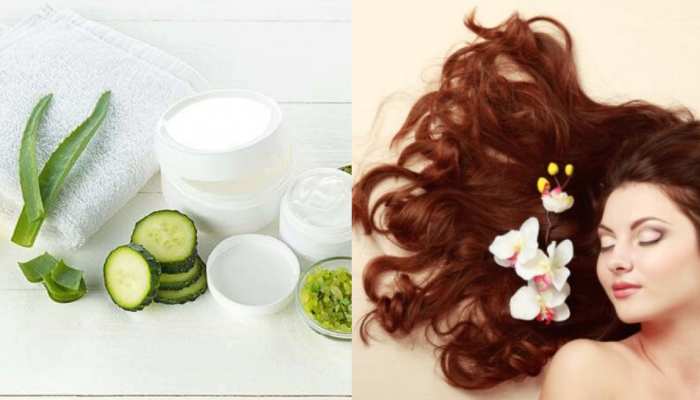 Make hair spa cream at home in just Rs 5, hair will become soft and smooth without going to the parlour.| Hindi News, घर पर मात्र 5 रूपये में बनाएं हेयर स्पा Make hair spa cream at home in just Rs 5, hair will become soft and smooth without going to the parlour.| Hindi News, घर पर मात्र 5 रूपये में बनाएं हेयर स्पा