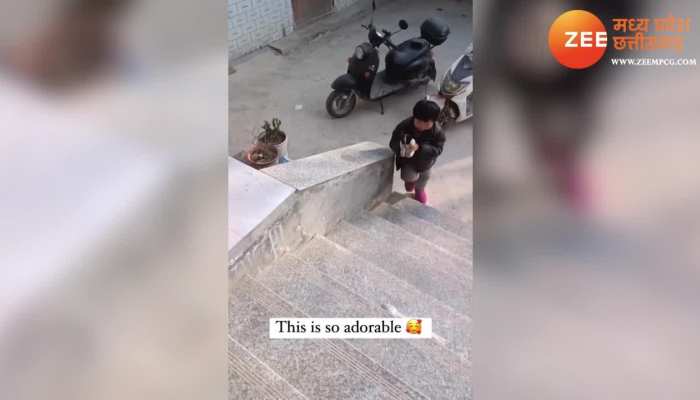 Viral Video: क्यूट बच्चे ने डॉगी को इस खास अंदाज में झुलाया! वीडियो देख आपका बन जाएगा दिन