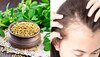 Hair Fall Home Remedy: गंजेपन के लिए वरदान हैं मुट्ठीभर मेथी के दाने, ऐसे करें इस्तेमाल, बंद हो जाएगा बालों का झड़ना