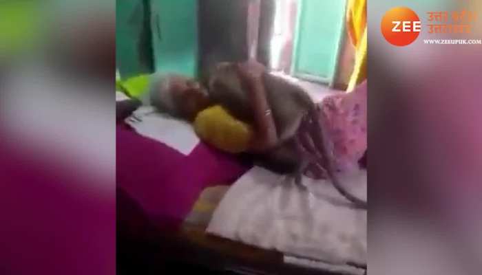 Langoor Viral Video: लंगूर ने चुकाया रोटी का कर्ज, बीमार महिला के साथ किया कुछ ऐसा, वीडियो देख रो देंगे आप