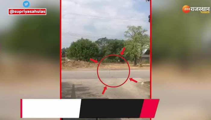 Viral Video : छत से सांप ने लगा दी लंबी छलांग, लोग बोले ये तो मल्टी टैलेंटेड है