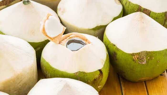 क्या आप भी रोजाना पीते हैं नारियल पानी? हो सकते हैं इन 4 बड़ी बीमारियों के शिकार