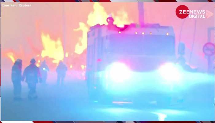 Wildfires: Chile के जंगलों में लगी भीषण आग, 8 हजार हेक्टेयर से ज्यादा की वन संपदा जलकर हुई खाक