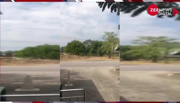 बंदर की तरह नाग ने लगाई छत से छलांग! देख लोगों ने कहा- 'नागिन से मिलने जा रहा हैं'