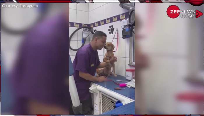 Viral Video: डॉक्टर लगा रहा था इंजेक्शन, डॉग ने पकड़ लिया हाथ, आप भी देखें ये क्यूट वीडियो