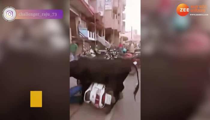 Saand Ka Video: सांड की हरकत से स्कूटी पर बैठी लड़कियां गिरी, देखिए फिर क्या हुआ