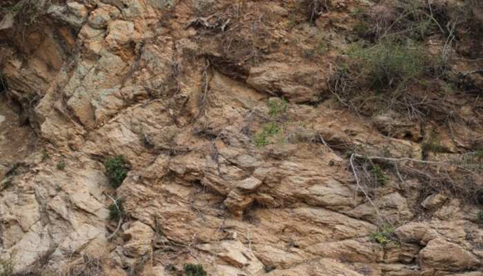 इस पहाड़ी चट्टान पर छिपा है एक हिरण, 5 सेकंड में ढूंढकर बता सके तो कहलाएंगे जीनियस