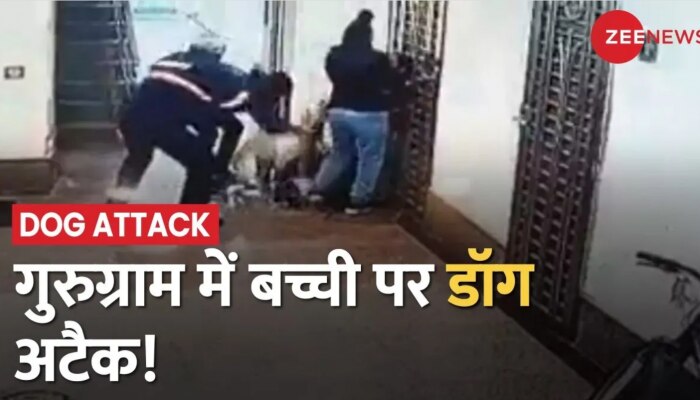 Gurugram Dog Attack: गुरुग्राम में Lift के लिए इंतज़ार कर रही 8 साल की बच्ची पर डॉग ने किया हमला