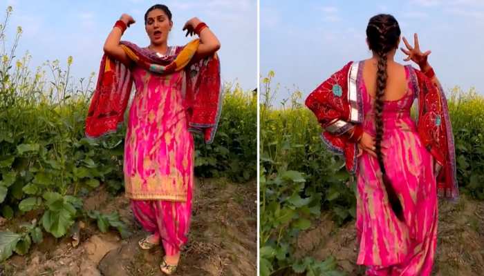 सरसों के खेत में Sapna Choudhary ने किया ऐसा धमाकेदार डांस, Video जमकर हो रहा वायरल