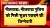 भीलवाड़ा पुलिस को सुअर पकड़ने की जिम्मेदारी आखिर क्यों दी, जानें पूरा मामला