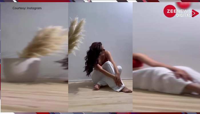 Reem Sameer ने कैमरे के सामने दिए ऐसे-ऐसे पोज कि देखते रह गए फैंस