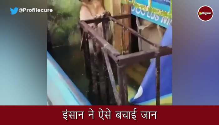 Viral Video : लंगूर को रोज़ रोटी देती थी दादी मां, रोटी नहीं मिली तो बूढ़ी दादी के गले पड़ा लंगूर