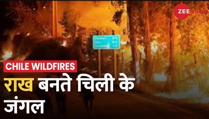 Chile wildfires: Chile के जंगलों में लगी आग में 13 लोगों की मौत, 35000 एकड़ के इलाके में फैली आग