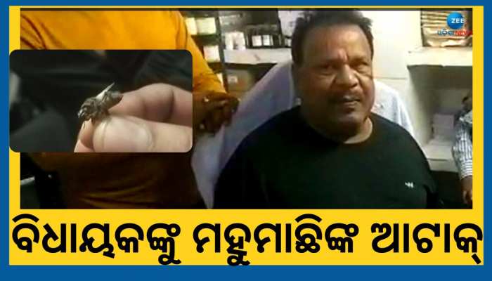 ମହୁମାଛି ଆକ୍ରମଣରେ ଆନନ୍ଦପୁର ବିଧାୟକ ଭାଗିରଥୀ ସେଠୀ ଆହତ